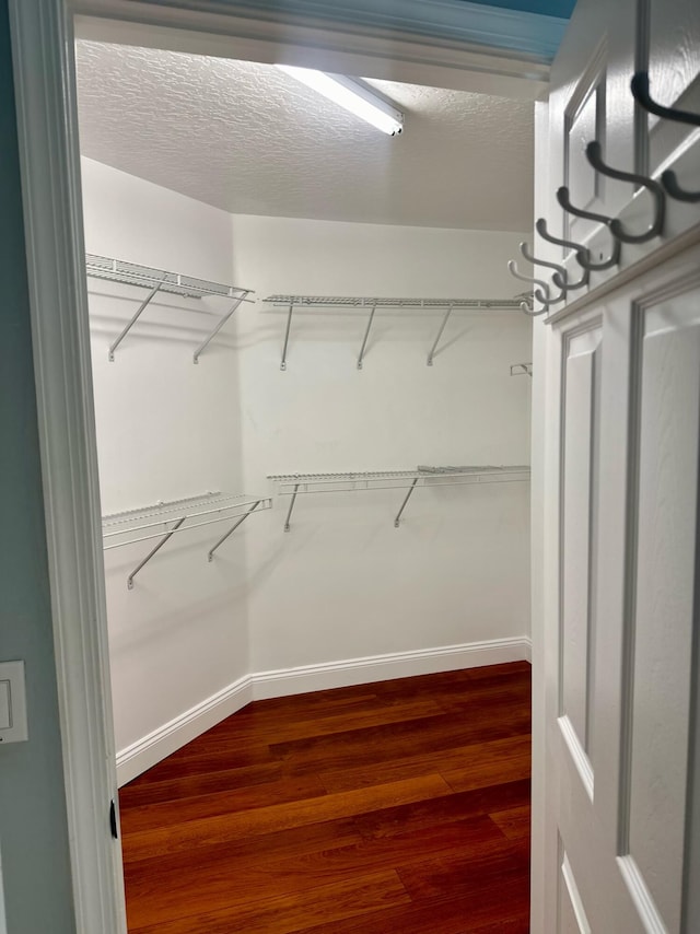 walk in closet featuring hardwood / wood-style floors