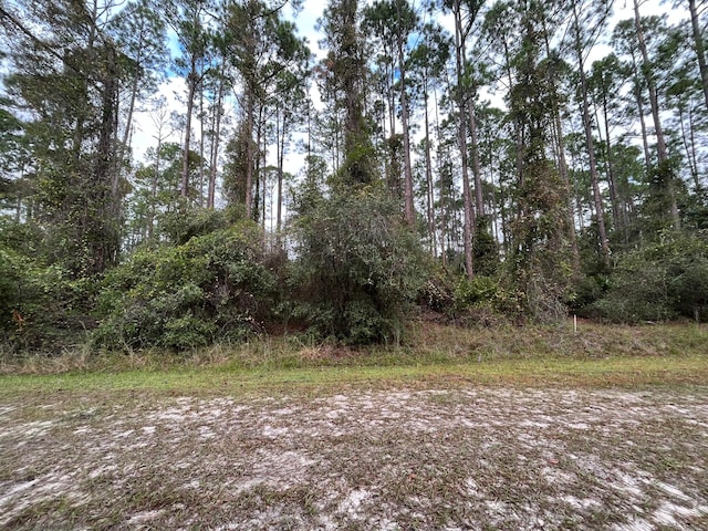 108 5th St, Georgetown FL, 32139 land for sale