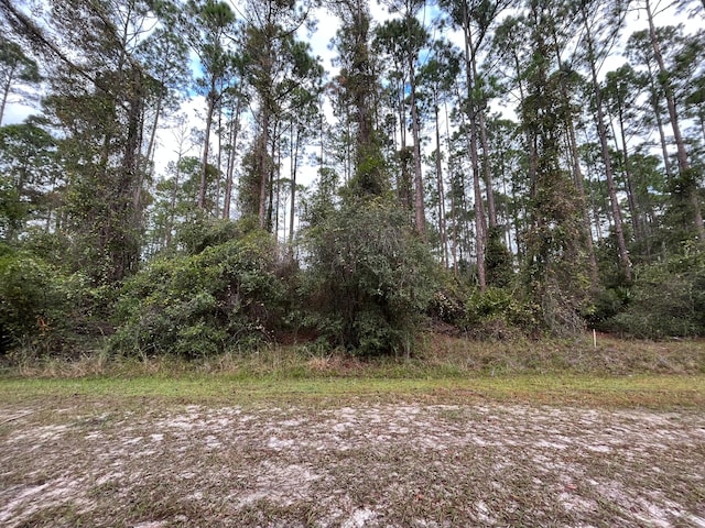 Listing photo 2 for 108 5th St, Georgetown FL 32139