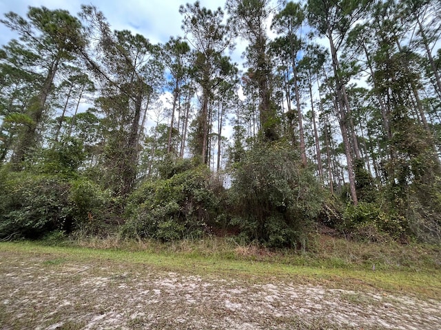 Listing photo 3 for 108 5th St, Georgetown FL 32139