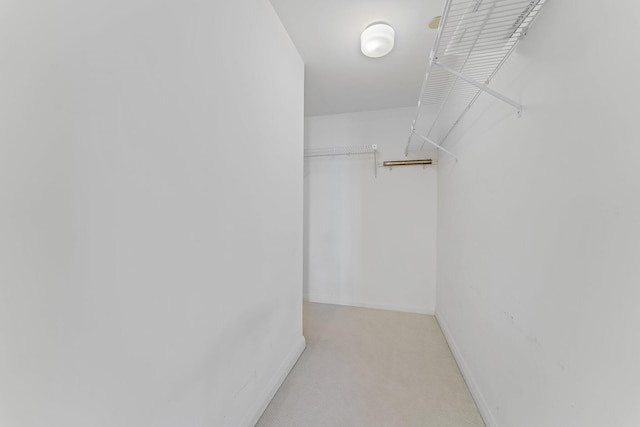 spacious closet featuring light carpet