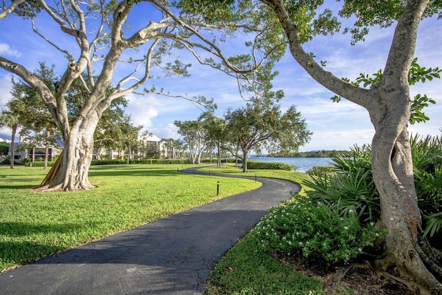 view of home's community featuring a lawn and a water view