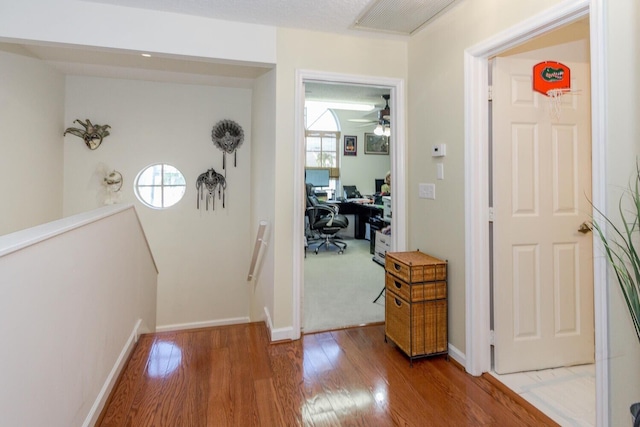 corridor featuring plenty of natural light and hardwood / wood-style floors