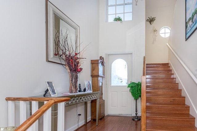 foyer featuring wood-type flooring, plenty of natural light, and a high ceiling