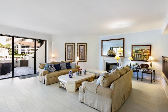 living room featuring light hardwood / wood-style flooring