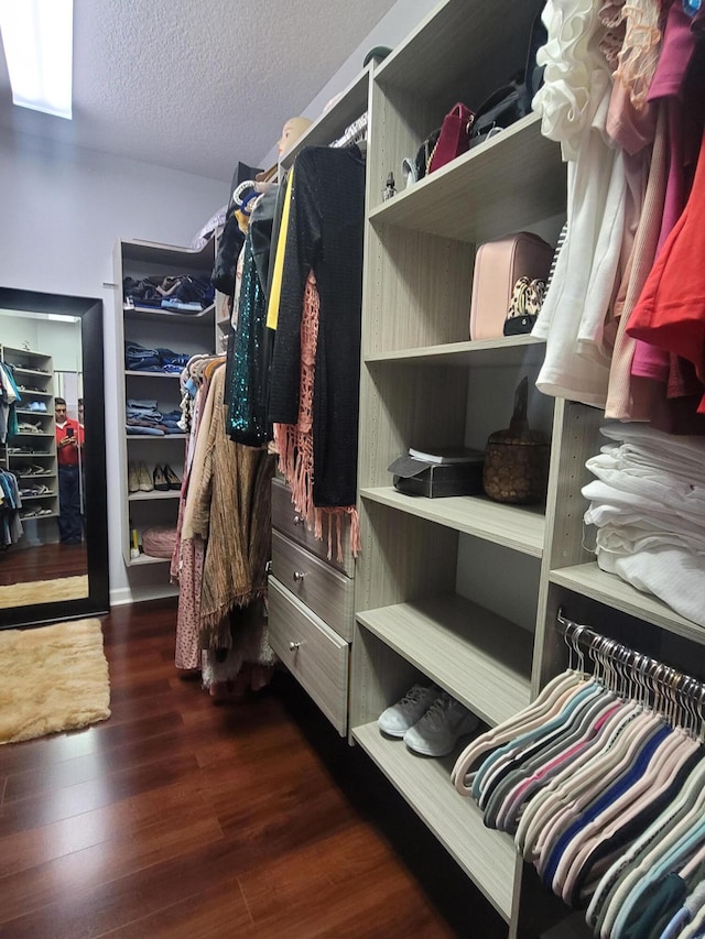 walk in closet featuring dark hardwood / wood-style floors