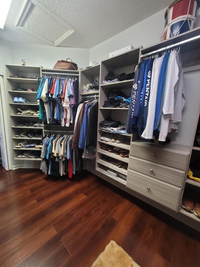 walk in closet featuring dark wood-type flooring