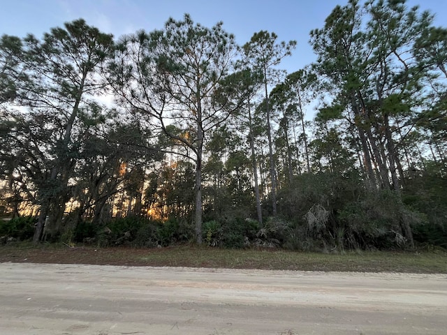 Listing photo 2 for TBD Royal Ave, Interlachen FL 32148