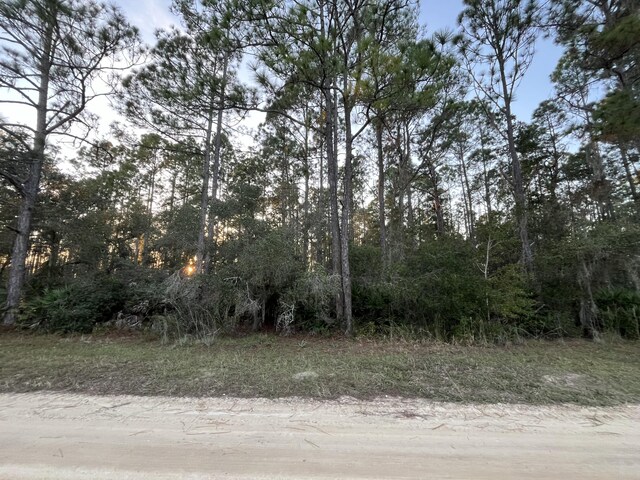 Listing photo 3 for TBD Royal Ave, Interlachen FL 32148