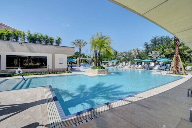 view of swimming pool with a patio