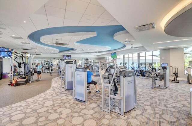 exercise room featuring a paneled ceiling, a raised ceiling, and light colored carpet