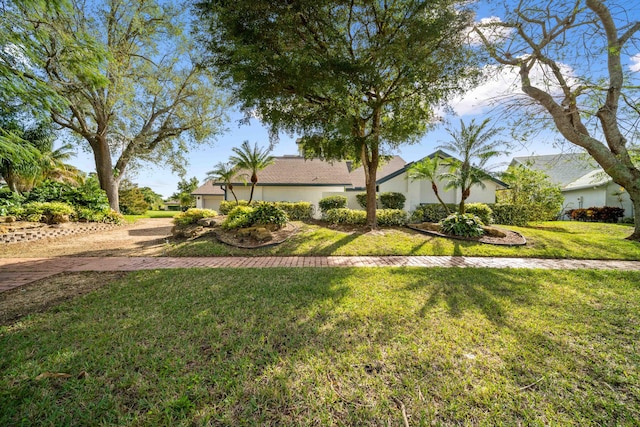 view of front of house featuring a front yard