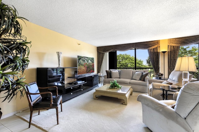 living room with a textured ceiling and a wealth of natural light