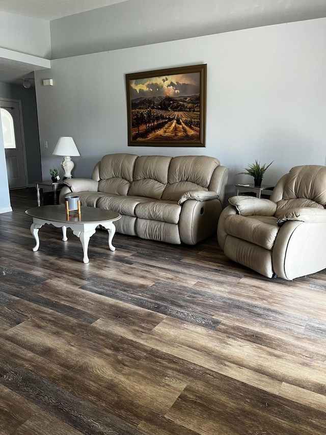 living room featuring dark wood-type flooring