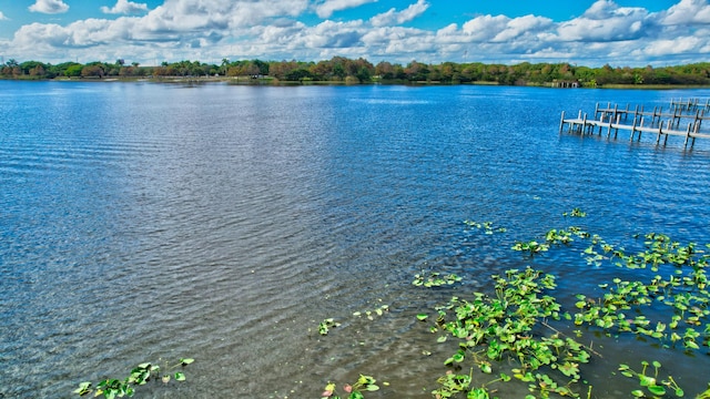 property view of water featuring a boat dock