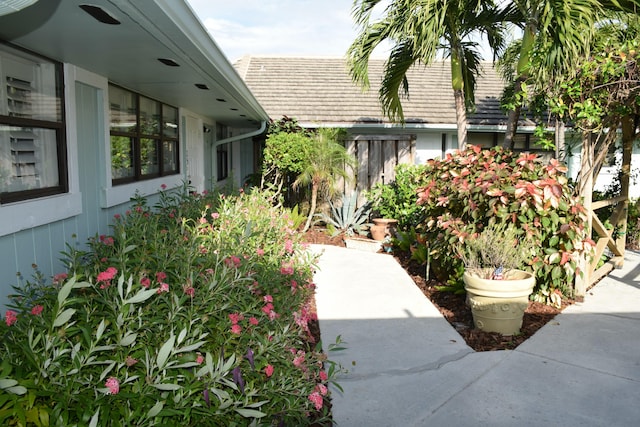 view of yard with a patio area