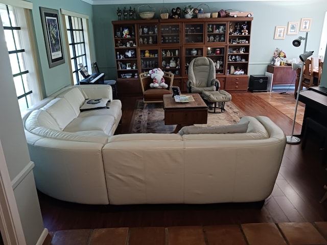 living room with dark hardwood / wood-style floors