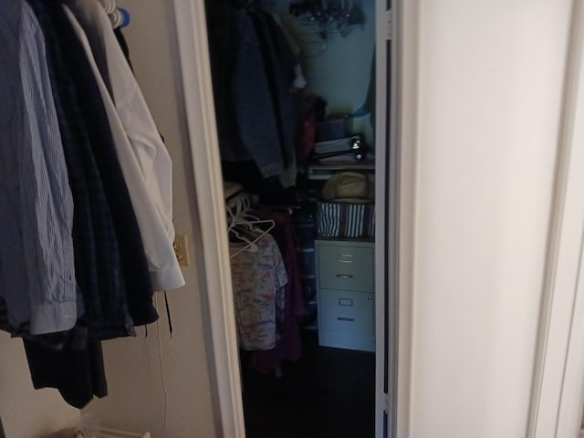 view of walk in closet