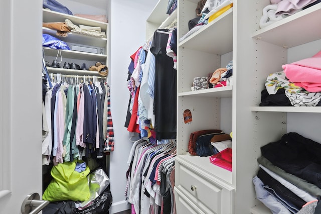 view of walk in closet