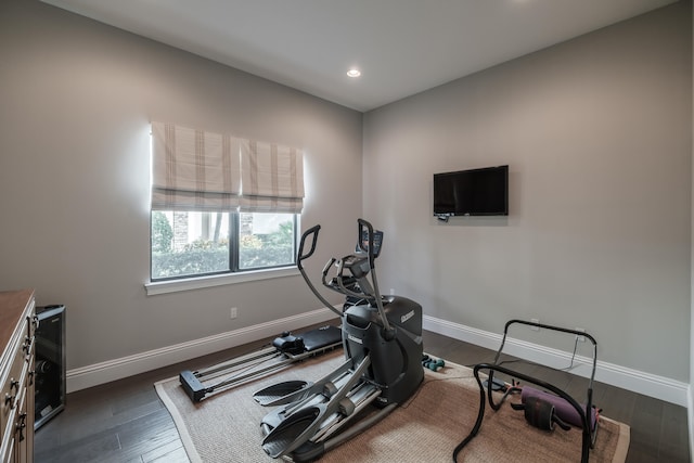 exercise area featuring dark hardwood / wood-style floors