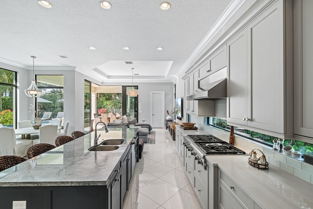 kitchen with sink, a center island with sink, a tray ceiling, and ornamental molding