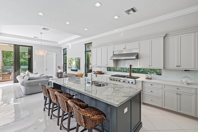 kitchen with sink, ornamental molding, plenty of natural light, and a raised ceiling