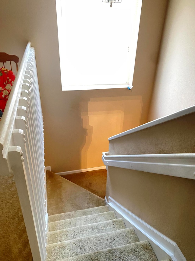 stairway featuring a wealth of natural light and carpet flooring