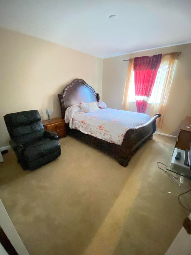 bedroom with carpet