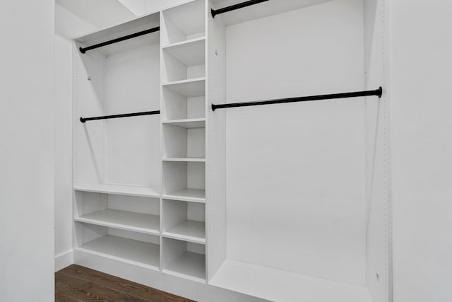 spacious closet featuring dark wood-type flooring