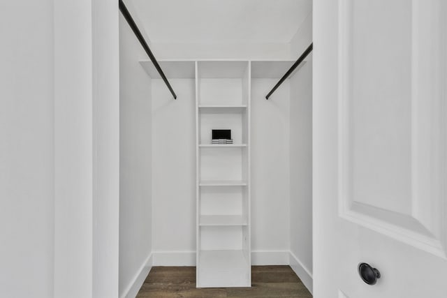 spacious closet featuring dark hardwood / wood-style flooring