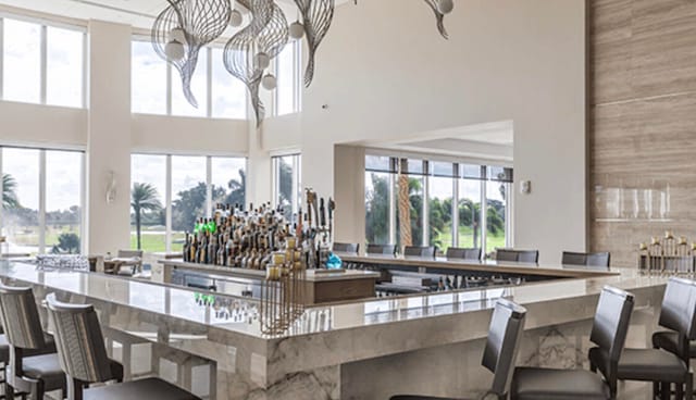 interior space featuring a notable chandelier, a high ceiling, and a healthy amount of sunlight