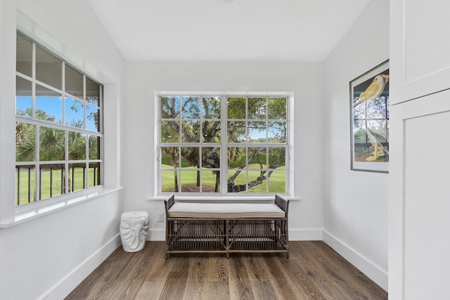 interior space with dark hardwood / wood-style flooring