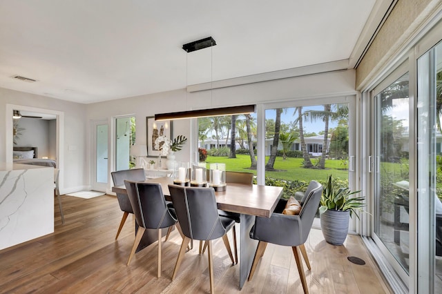 dining room with hardwood / wood-style floors and plenty of natural light