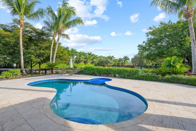 view of swimming pool featuring a patio area