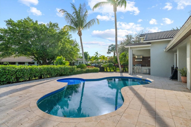 view of pool featuring a patio area