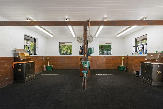 workout room featuring a healthy amount of sunlight and wooden walls