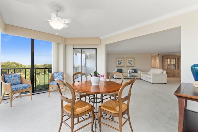 carpeted dining room with ceiling fan and crown molding