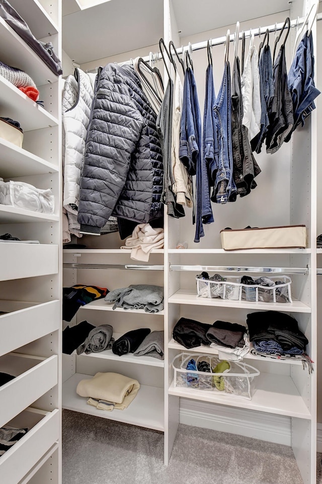 walk in closet with carpet floors