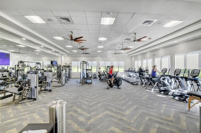 workout area with carpet, ceiling fan, and a drop ceiling