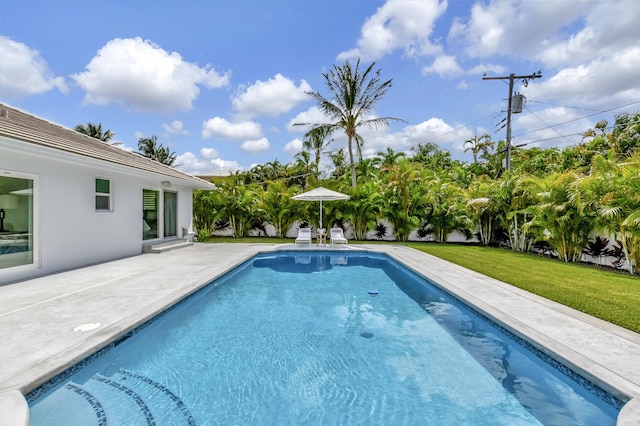 530 NW 14th St, Delray Beach, FL 33444 - swimming pool with a yard and a patio