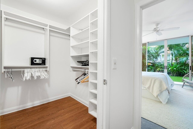 walk in closet featuring ceiling fan and hardwood / wood-style flooring