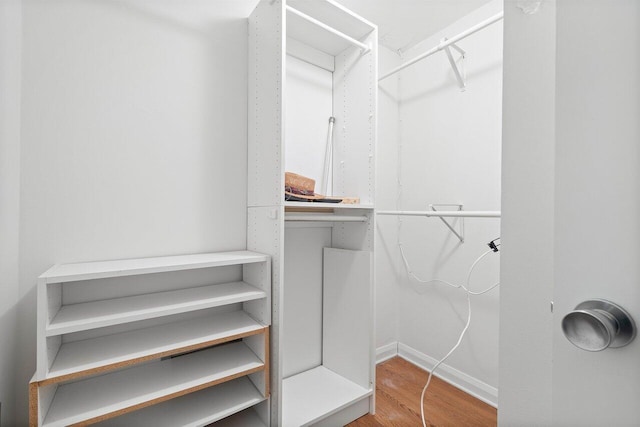 spacious closet with hardwood / wood-style flooring