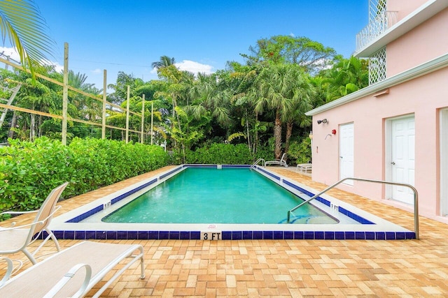 view of swimming pool featuring a patio area