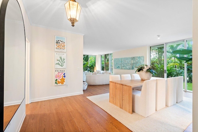 living room featuring a wall of windows, plenty of natural light, ornamental molding, and light hardwood / wood-style flooring