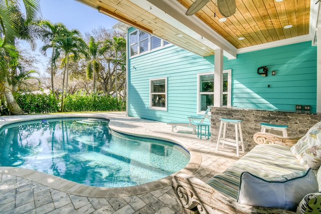 view of pool featuring a patio area