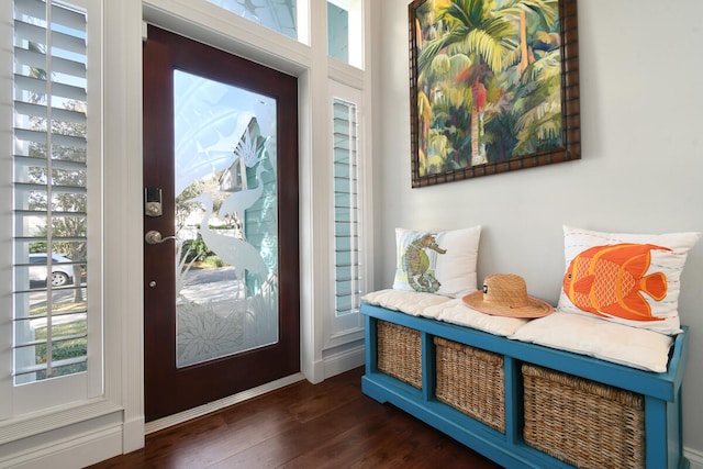 entrance foyer with dark hardwood / wood-style floors