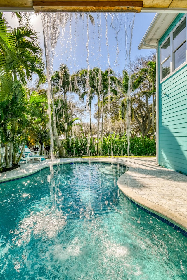 view of pool with a patio