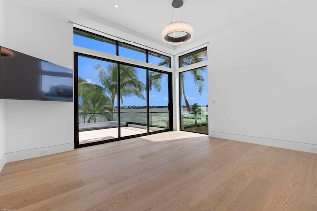 empty room featuring light wood-type flooring