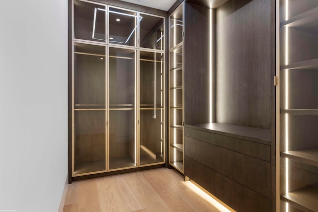 spacious closet with light hardwood / wood-style floors