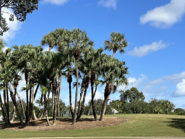 view of community with a lawn